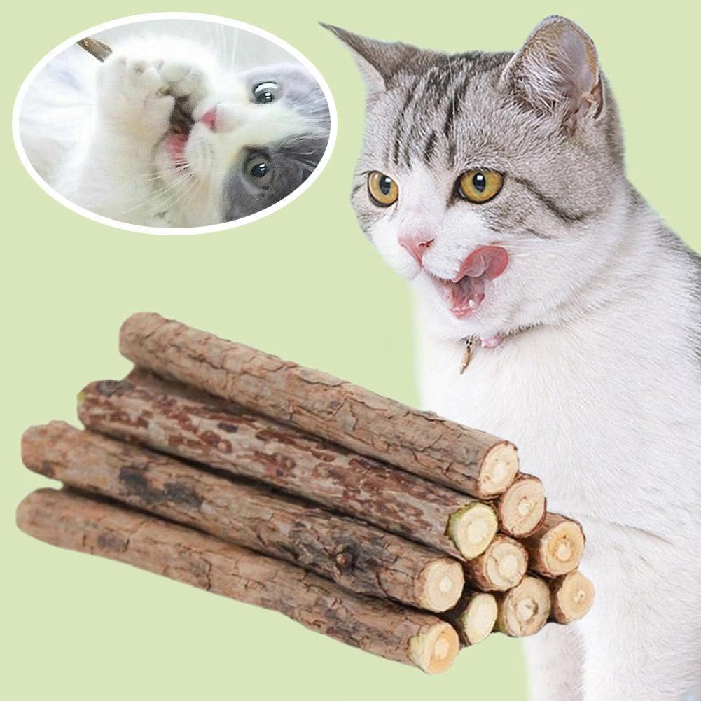 Natural Silvervine Sticks